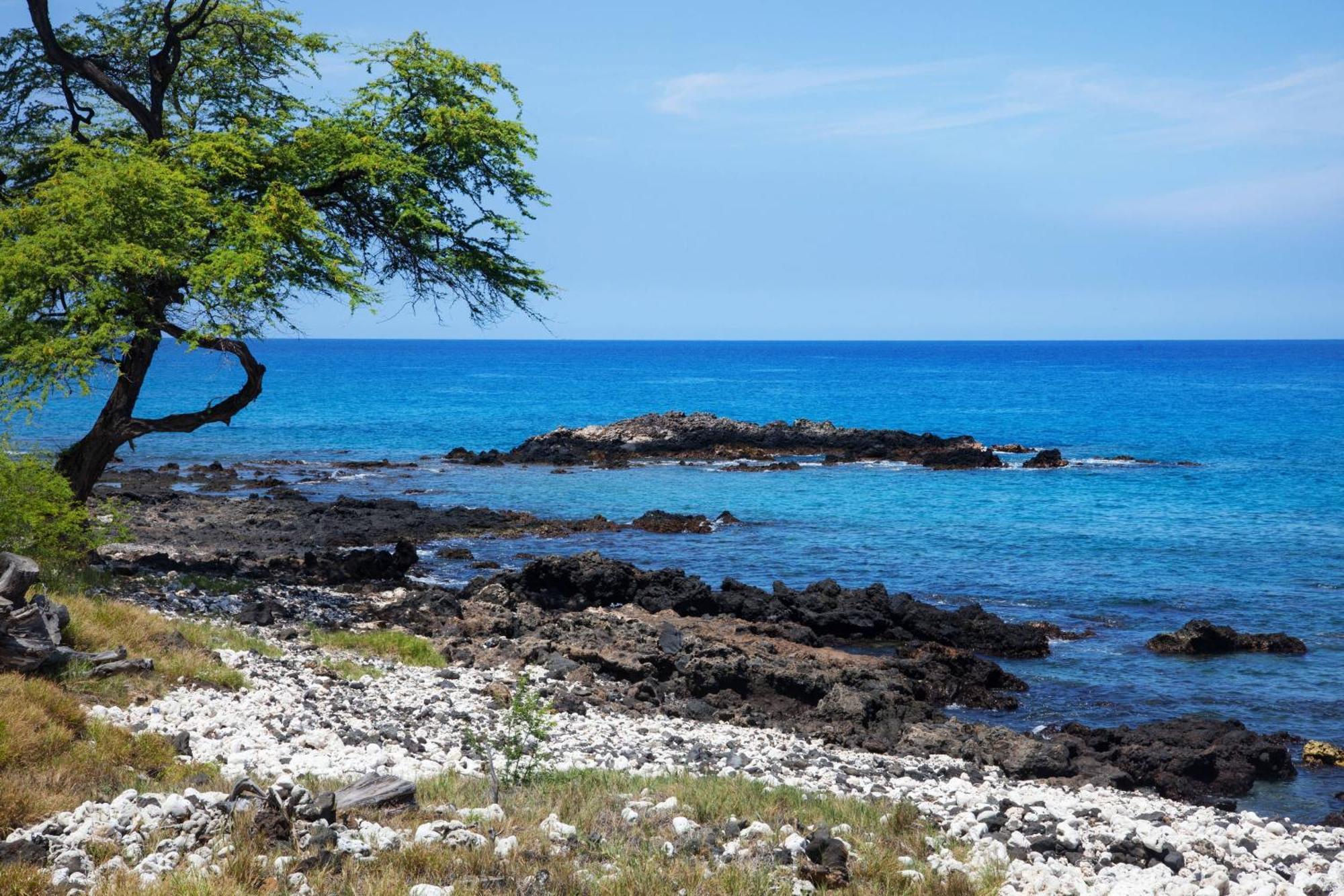 Mauna Kea Beach Hotel, Autograph Collection Kohala Coast Экстерьер фото